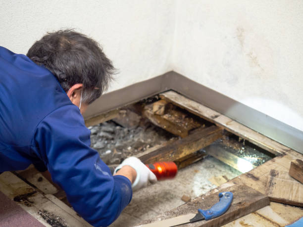 Water Damage Restoration in Colwyn, PA
