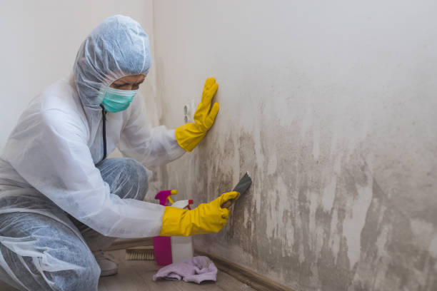 Best Crawl Space Mold Removal  in Colwyn, PA