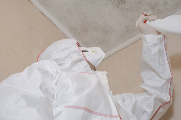 Best Home Mold Removal  in Colwyn, PA
